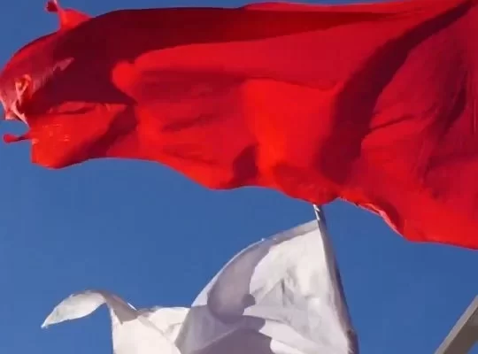 El sábado vivimos una jornada muy especial junto a quienes nos acompañan durante todo el año.