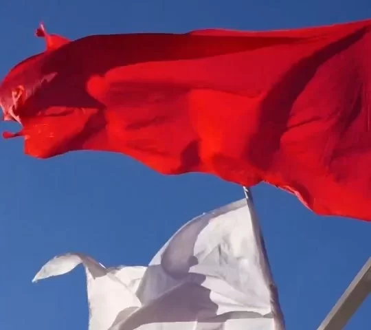 El sábado vivimos una jornada muy especial junto a quienes nos acompañan durante todo el año.